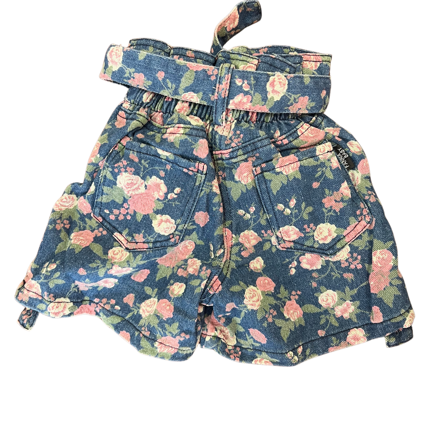 Assorted Flavors Shorts