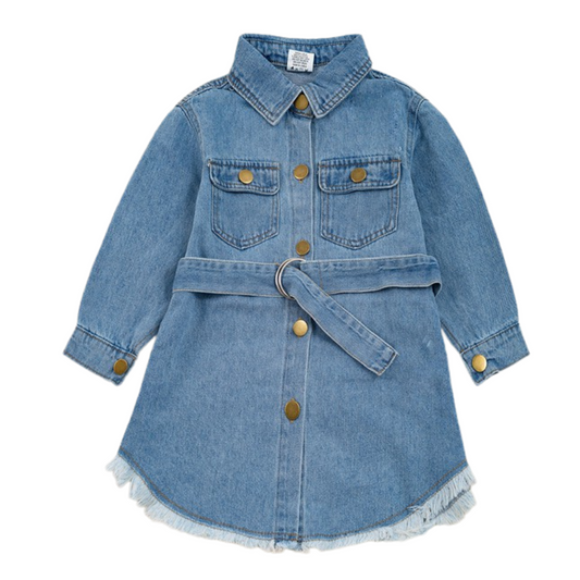 Indigo Denim Dress