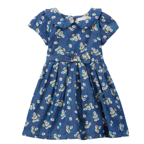 Daisy Denim Dress