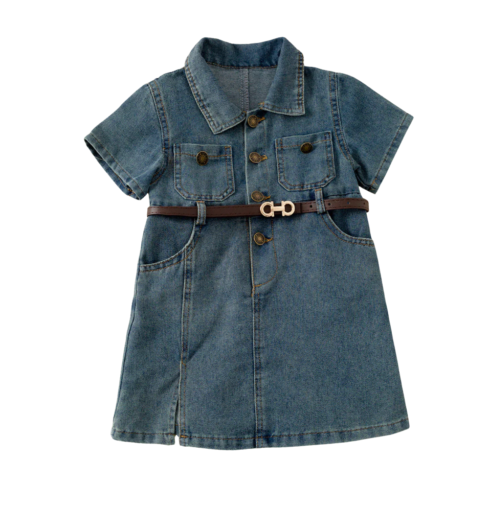 Bluecheese Denim Dress