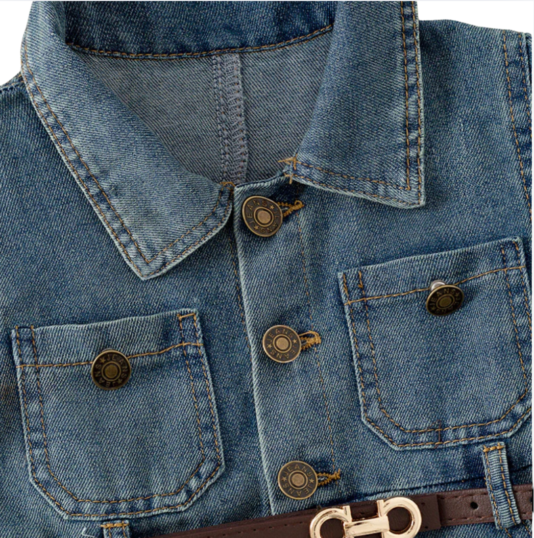 Bluecheese Denim Dress